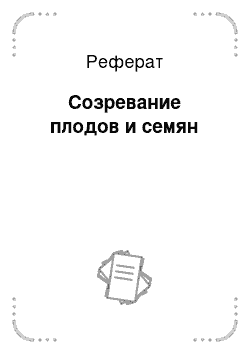 Реферат: Созревание плодов и семян