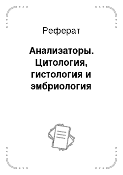 Реферат: Анализаторы. Цитология, гистология и эмбриология