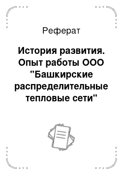 Реферат: История развития. Опыт работы ООО "Башкирские распределительные тепловые сети"