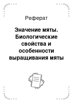 Реферат: Значение мяты. Биологические свойства и особенности выращивания мяты