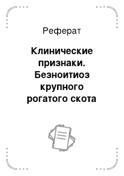 Реферат: Клинические признаки. Безноитиоз крупного рогатого скота