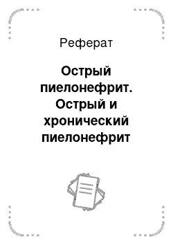 Реферат: Острый пиелонефрит. Острый и хронический пиелонефрит