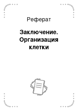 Реферат: Заключение. Организация клетки