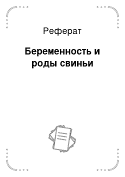 Реферат: Беременность и роды свиньи