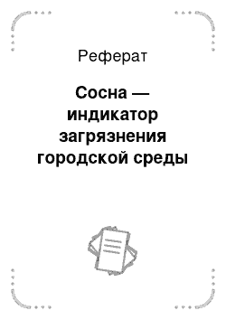 Реферат: Сосна — индикатор загрязнения городской среды