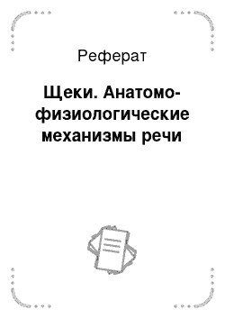 Реферат: Щеки. Анатомо-физиологические механизмы речи