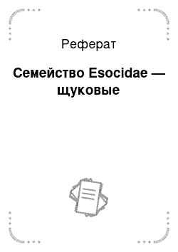 Реферат: Семейство Esocidae — щуковые