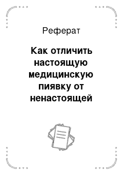 Реферат: Как отличить настоящую медицинскую пиявку от ненастоящей