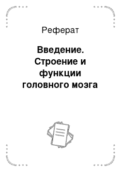 Реферат: Введение. Строение и функции головного мозга