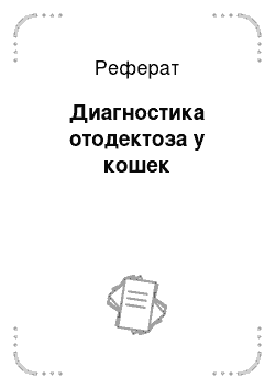 Реферат: Диагностика отодектоза у кошек