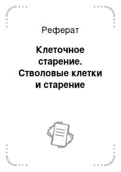 Реферат: Клеточное старение. Стволовые клетки и старение