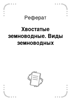 Реферат: Хвостатые земноводные. Виды земноводных