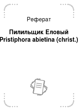 Реферат: Пилильщик Еловый Pristiphora abietina (christ.)