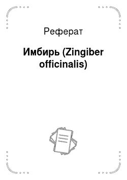 Реферат: Имбирь (Zingiber officinalis)