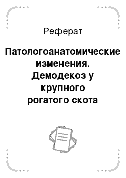 Реферат: Патологоанатомические изменения. Демодекоз у крупного рогатого скота