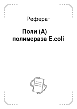 Реферат: Поли (А) — полимераза E.coli