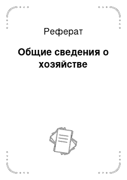 Реферат: Общие сведения о хозяйстве