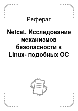 Реферат: Netcat. Исследование механизмов безопасности в Linux-подобных ОС