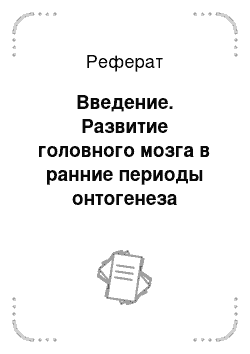 Реферат: Введение. Развитие головного мозга в ранние периоды онтогенеза