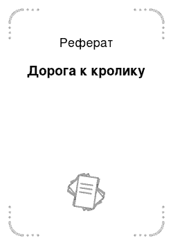 Реферат: Дорога к кролику