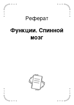 Реферат: Функции. Спинной мозг