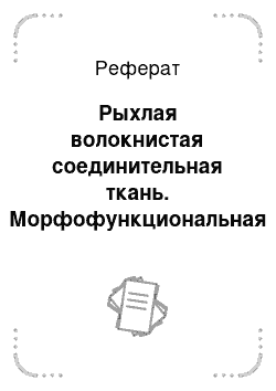 Реферат: Рыхлая волокнистая соединительная ткань. Морфофункциональная характеристика. Межклеточное вещество. Строение, значение. Фибробласты и их роль в образовании межклеточного вещества. Строение сухожилий и связок