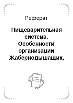 Реферат: Пищеварительная система. Особенности организации Жабернодышащих, их многообразие и экология