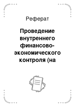 Реферат: Проведение внутреннего финансово-экономического контроля (на примере ООО «СтройКом»)