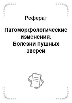 Реферат: Патоморфологические изменения. Болезни пушных зверей