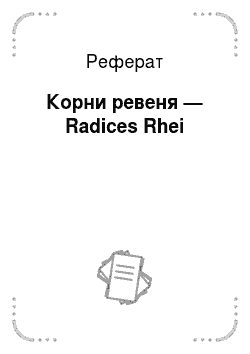Реферат: Корни ревеня — Radices Rhei