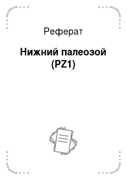 Реферат: Нижний палеозой (PZ1)
