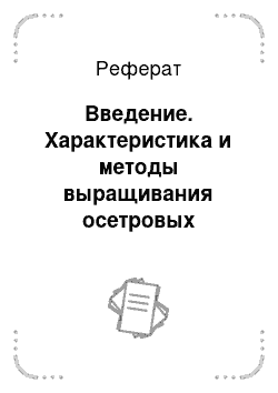 Реферат: Введение. Характеристика и методы выращивания осетровых