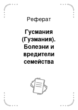 Реферат: Гусмания (Гузмания). Болезни и вредители семейства Бромелиевые