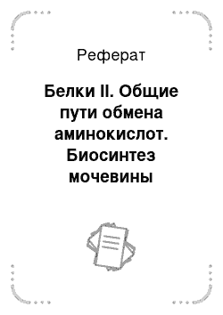 Реферат: Белки II. Общие пути обмена аминокислот. Биосинтез мочевины