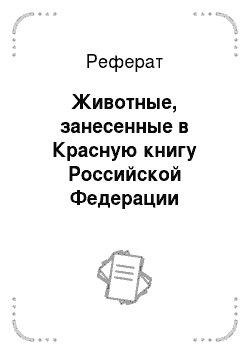 Реферат: Животные, занесенные в Красную книгу Российской Федерации
