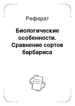 Реферат: Биологические особенности. Сравнение сортов барбариса