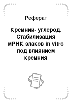 Реферат: Кремний-углерод. Стабилизация мРНК злаков in vitro под влиянием кремния