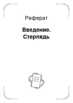 Реферат: Введение. Стерлядь