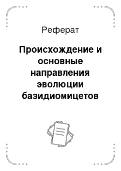 Реферат: Происхождение и основные направления эволюции базидиомицетов