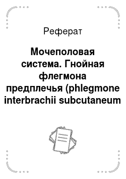 Реферат: Мочеполовая система. Гнойная флегмона предплечья (phlegmone interbrachii subcutaneum purulenta)