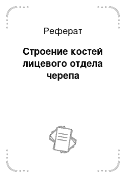 Реферат: Строение костей лицевого отдела черепа