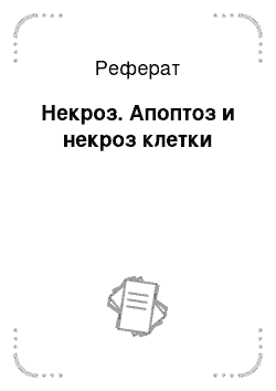 Реферат: Некроз. Апоптоз и некроз клетки