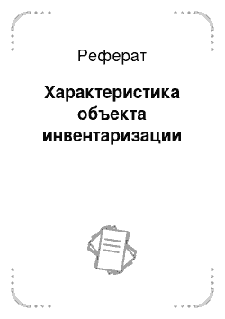 Реферат: Характеристика объекта инвентаризации