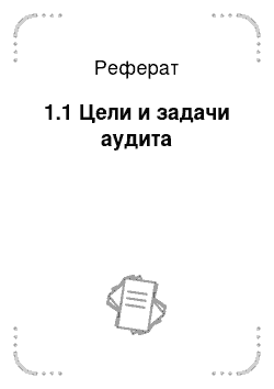 Реферат: 1.1 Цели и задачи аудита