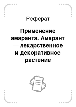 Реферат: Применение амаранта. Амарант — лекарственное и декоративное растение