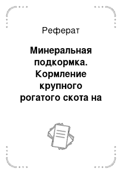 Реферат: Минеральная подкормка. Кормление крупного рогатого скота на откорме