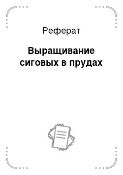 Реферат: Выращивание сиговых в прудах