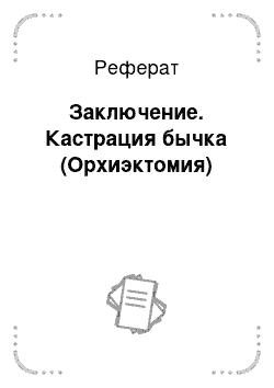 Реферат: Заключение. Кастрация бычка (Орхиэктомия)