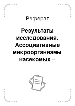 Реферат: Результаты исследования. Ассоциативные микроорганизмы насекомых – представителей подотряда цикадовые (Cicadinea)