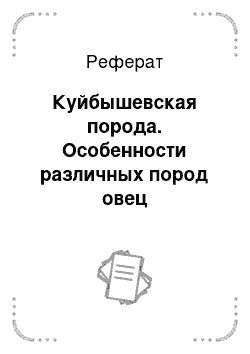 Реферат: Куйбышевская порода. Особенности различных пород овец